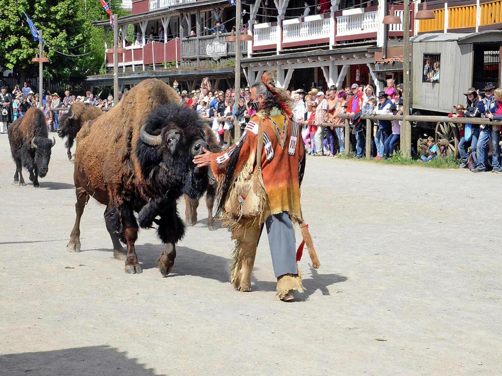 Harz Holiday Park, هاسلفيلد المظهر الخارجي الصورة